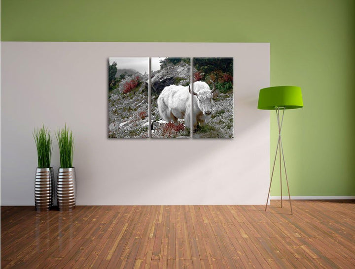 Pixxprint Schönes Yak Himalaya B&W Detail 3-Teiler Leinwandbild 120x80 Bild auf Leinwand