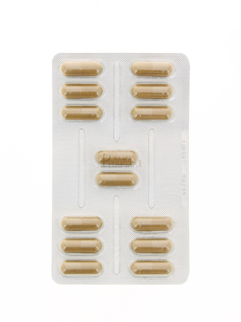 Lactibiane H-Py 42 Cap Pileje