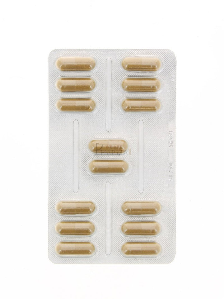 Lactibiane H-Py 42 Cap Pileje
