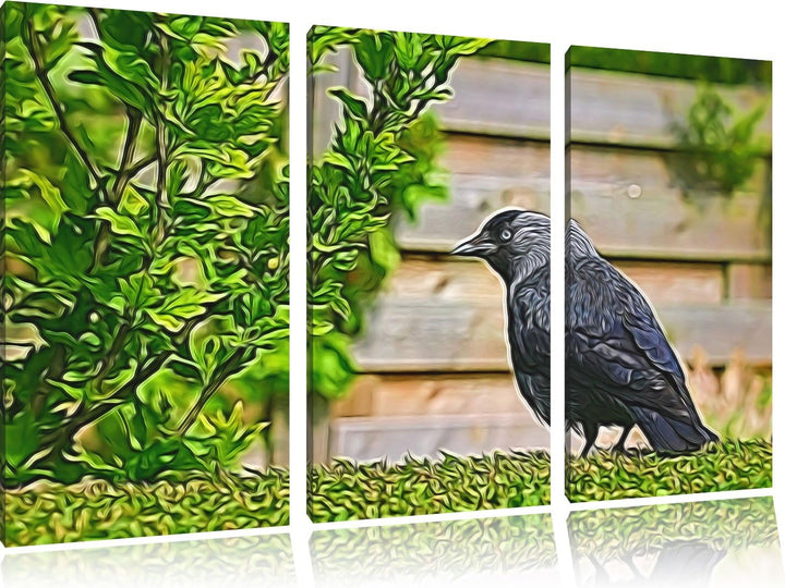 schöner schwarzer Vogel auf Gartenwiese NewArt 3-Teiler Leinwandbild 120x80 Bild auf Leinwand, XXL r