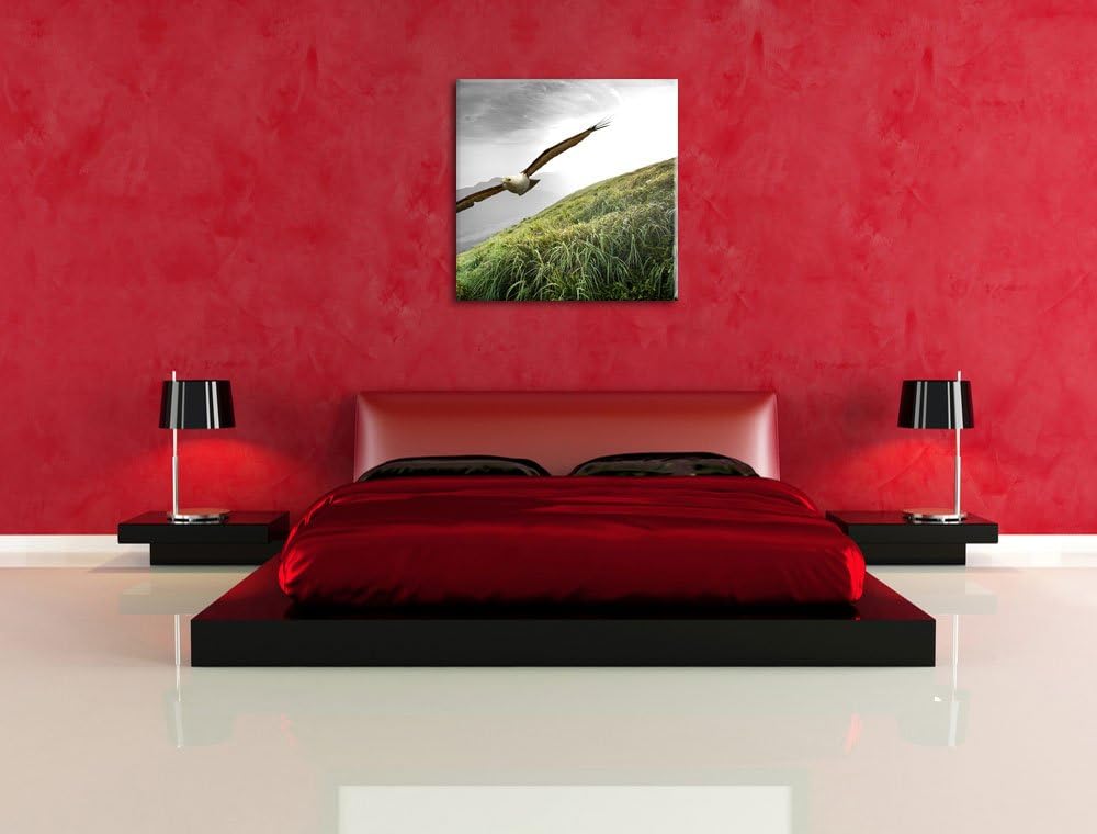 Pixxprint Majestätischer Weisskopfseeadler als Leinwandbild/Grösse: 70x70 cm/Wandbild/Kunstdruck/fer