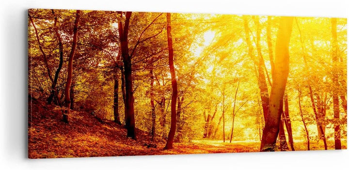 Wandbilder Dekoration Wohnzimmer Wald Baum Natur Panorama Bilder auf Leinwand 120x50cm Leinwandbild