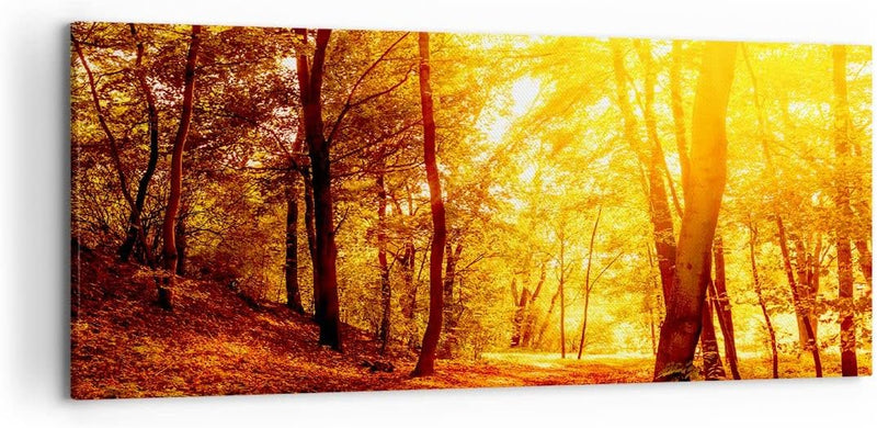 Wandbilder Dekoration Wohnzimmer Wald Baum Natur Panorama Bilder auf Leinwand 120x50cm Leinwandbild