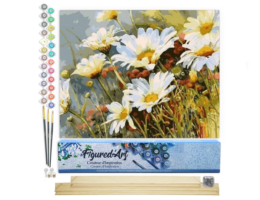 Figured'Art Malen Nach Zahlen Erwachsene Mit Rahmen Gänseblümchen Feld - Paint by Numbers Basteln DI