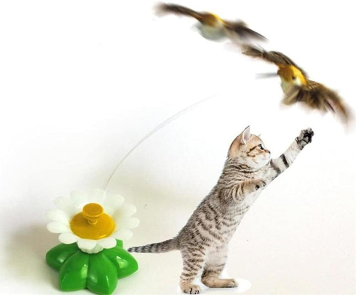 Interaktives Spielzeug, automatische rotierende Katze, elektrischer Vogel, ideal für Unterhaltung un