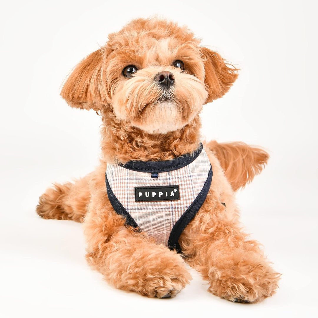 Puppia Hundegeschirr - Blake Geschirr A – für kleine und mittelgrosse Hunde navy XL, navy XL