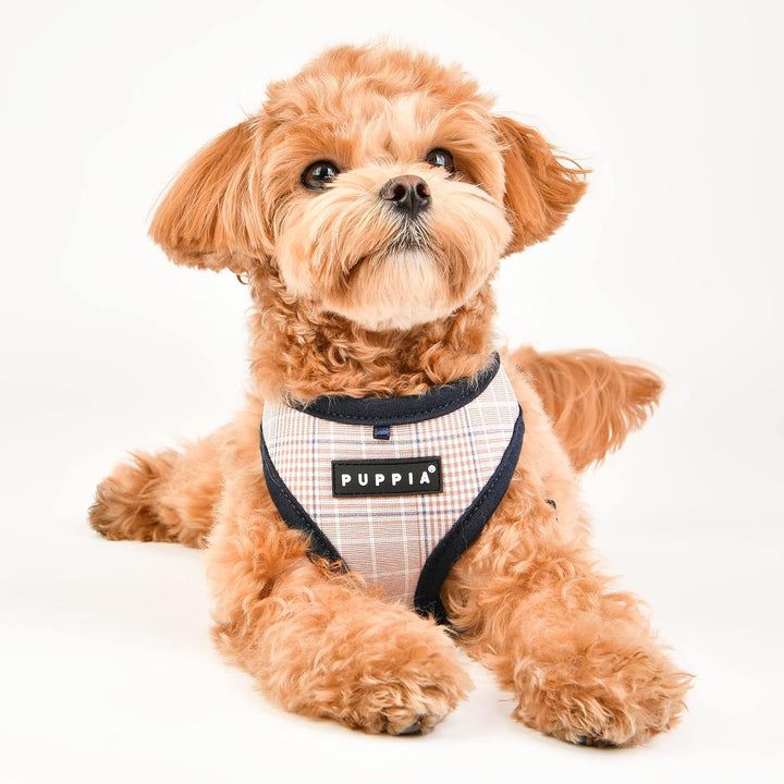 Puppia Hundegeschirr - Blake Geschirr A – für kleine und mittelgrosse Hunde navy XL, navy XL