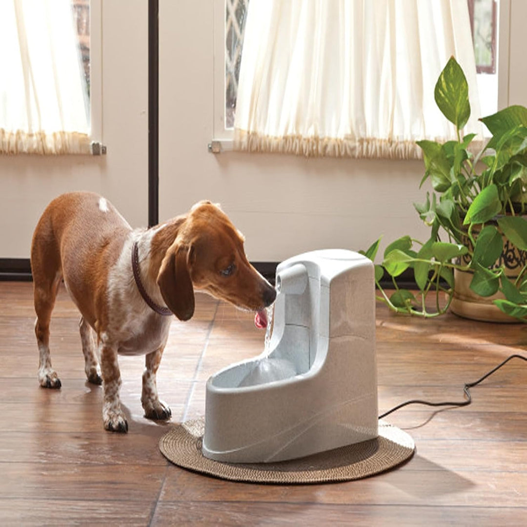 PetSafe Drinkwell Trinkbrunnen Mini, Zweifaches Filtersystem, Für kleine Hunde und Katzen geeignet,