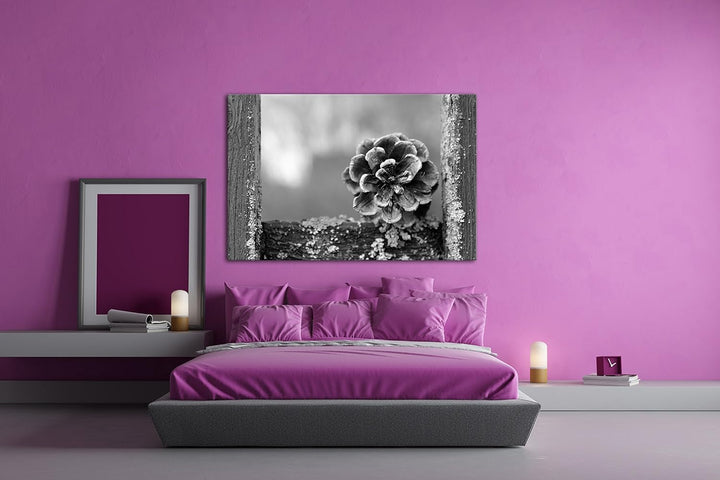 deyoli aufgegangener Kiefernzapfen Effekt: Schwarz/Weiss Format: 80x60 als Leinwandbild, Motiv ferti