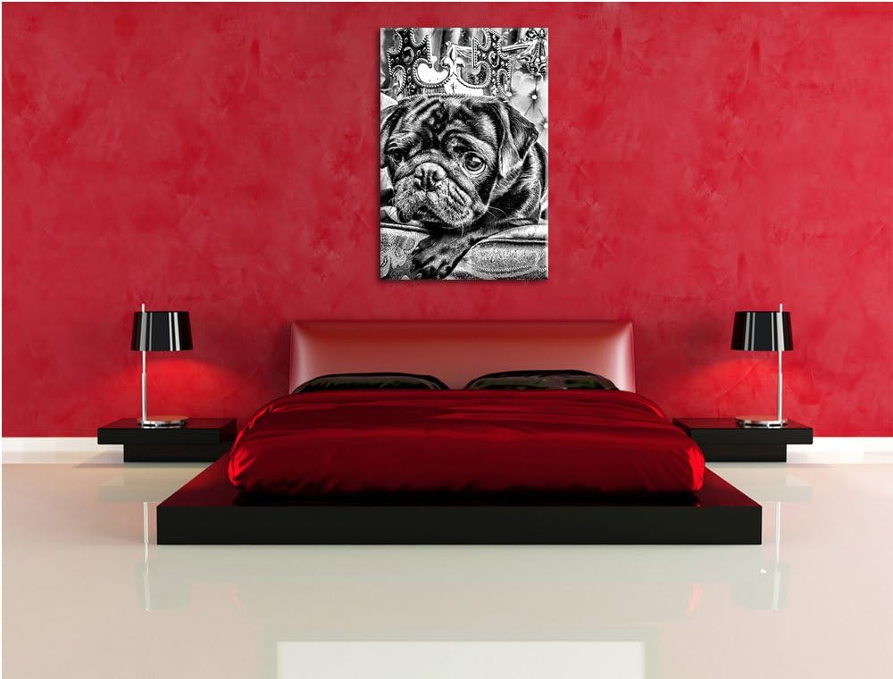 Pixxprint Süsser Mops auf dem Thron als Leinwandbild/Grösse: 100x70 / Wandbild/Kunstdruck/fertig bes