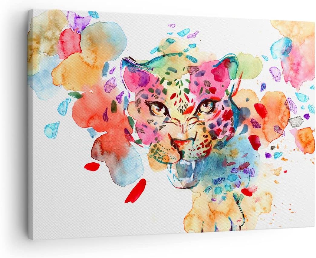 Bilder auf Leinwand Farbe Konzept Katze Leinwandbild mit Rahmen 70x50cm Wandbilder Dekoration Wohnzi