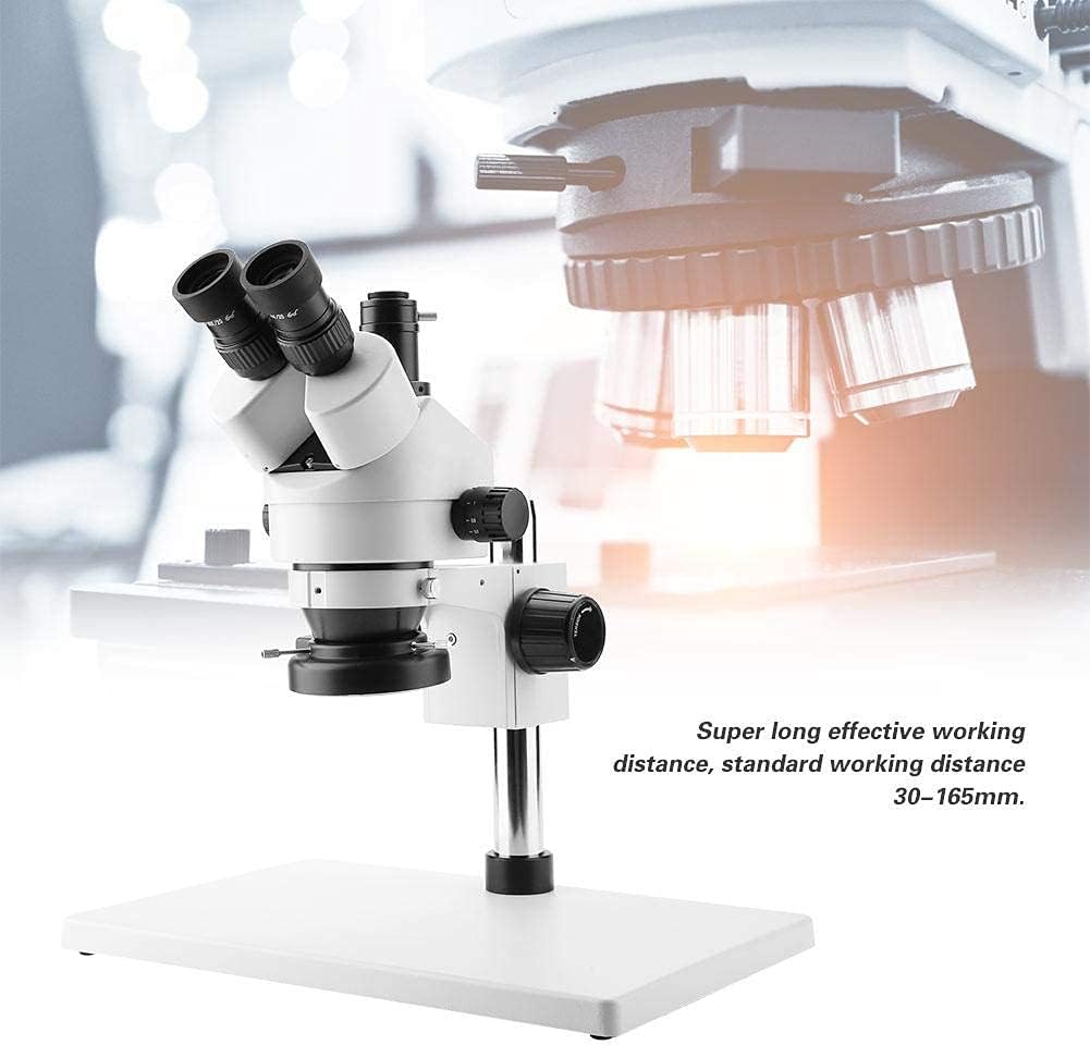 Bewinner 3,5X-90X Vergrösserung kontinuierliche Zoom Stereo Mikroskop, 0,7X-4,5X Zoom Objektiv,Trino