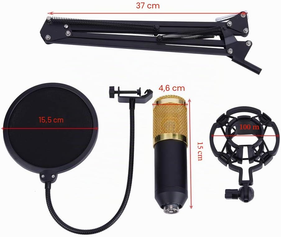 BM800 Kondensatormikrofon mit Shock Mount, professionelles Kondensatormikrofon mit verstellbarem Arm