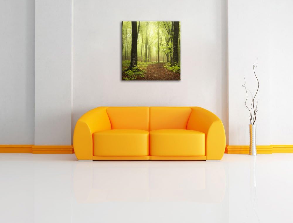 Pixxprint Sonniger Weg im atemberaubenden Wald, Format: 70x70 auf Leinwand, 70x70