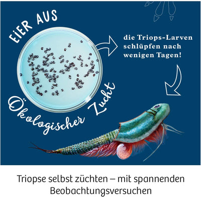 KOSMOS 633073 Triops-Welt, Leben aus der Urzeit. Urzeitkrebse erforschen. Komplett-Set mit extra gro