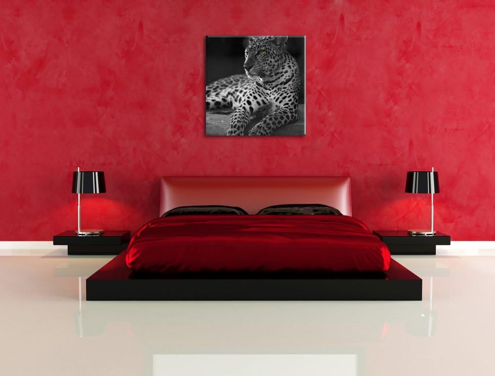 Pixxprint Leopard auf Felsen liegend als Leinwandbild Quadratisch/Grösse: 70x70 / Wandbild/Kunstdruc