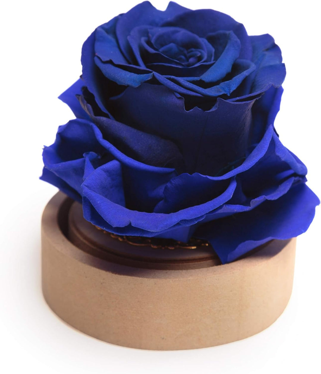 Infinity Rose im Glas die Schöne und das Biest echte langlebige Rose in Glaskugel (Large, Blau) Larg