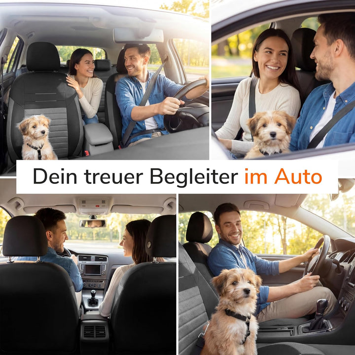 Upgrade4cars Autositzbezüge Set Universal Version 2026 | Auto-Schonbezüge für die Vordersitze & Rück