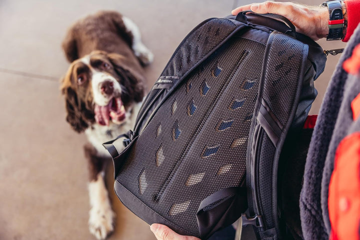Gregory Essential Hiking - Nano - Freizeitrucksack, Leichter Tagesrucksack, Trinksystem-kompatibel,