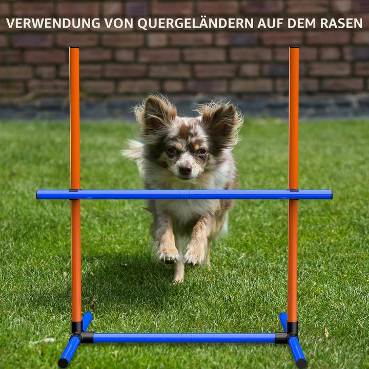 Agility-Trainingsset für Hunde, Hindernisset mit Slalomstangen, Hundesport-Ausrüstung, für Grosse un