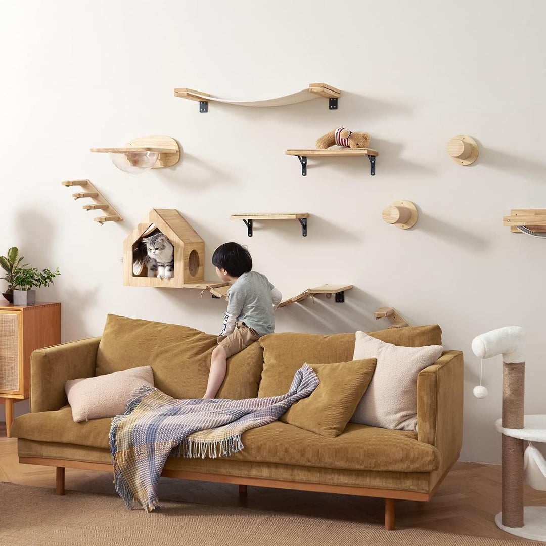 FUKUMARU Kletterwand Katzen, Transparente Raumkapsel mit 2 Pedalen als Katzenwandmöbel Set, aus Mass