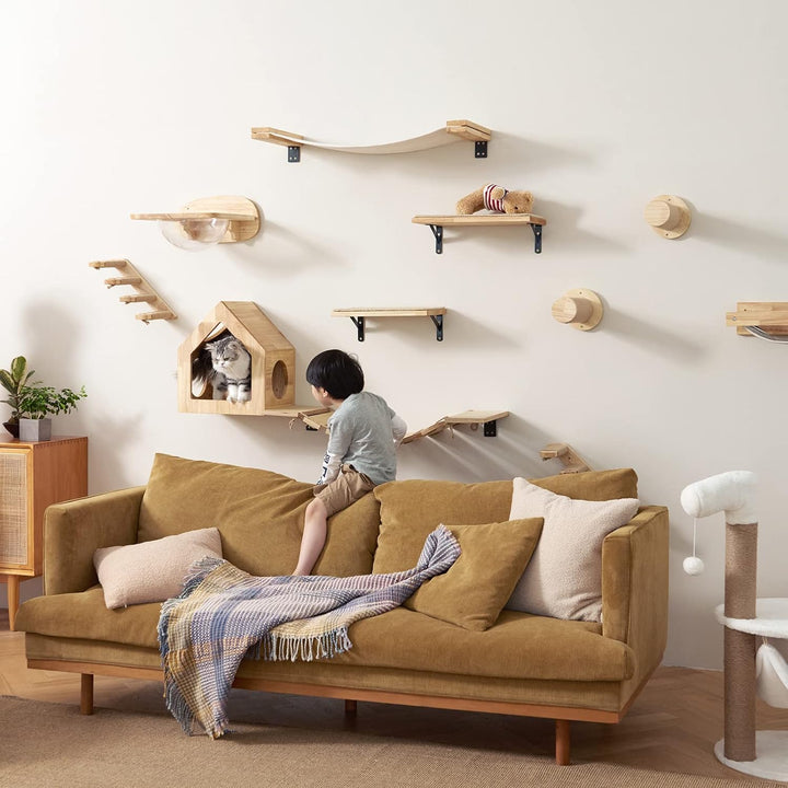 FUKUMARU Kletterwand Katzen, Transparente Raumkapsel mit 2 Pedalen als Katzenwandmöbel Set, aus Mass