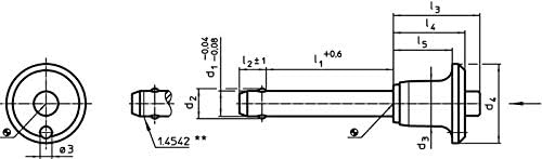 HALDER 22340.0260 Kugelsperrbolzen, d1=12 mm / l1=90 mm / Rostfreier Stahl 1.4305, Schwarz Rostfreie