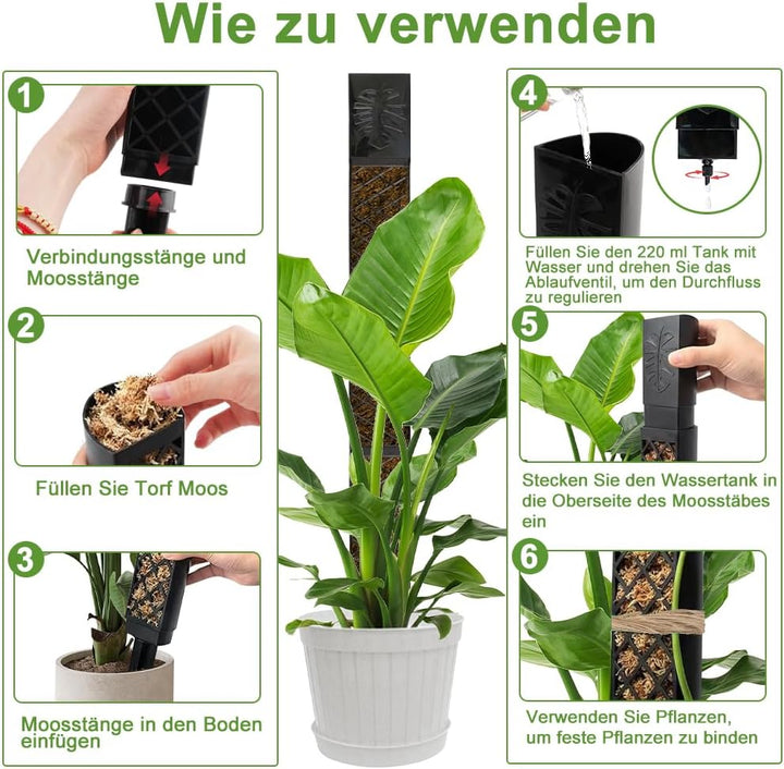 4 Stück Moosstab für Monstera Rankhilfe, 25 cm Moosstab Selbstbewässerung Erweiterbar, Rankstab Mons