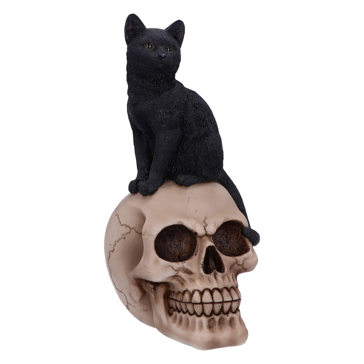 Nemesis Now Familiar Fate Dekofigur Hexen, Katze und Totenkopf, 24,3 cm