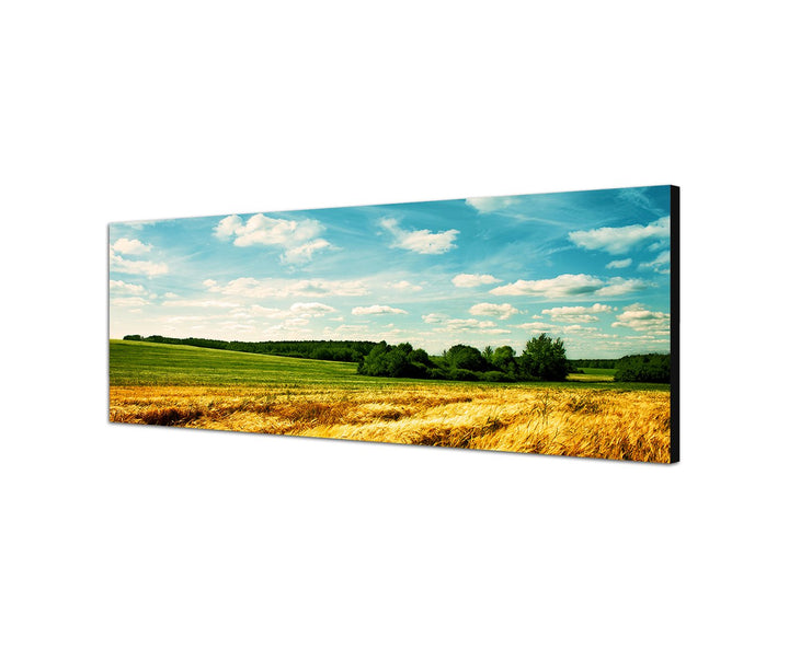 Augenblicke Wandbilder Leinwandbild als Panorama in 150x50cm Landschaft Kornfeld Wolken Sommer