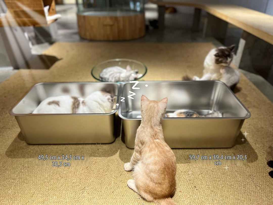 IKITCHEN Grosse Katzentoilette Edelstahl(60×40×20cm), Litter Box Katzenklo, Katzen und Kaninchen Met