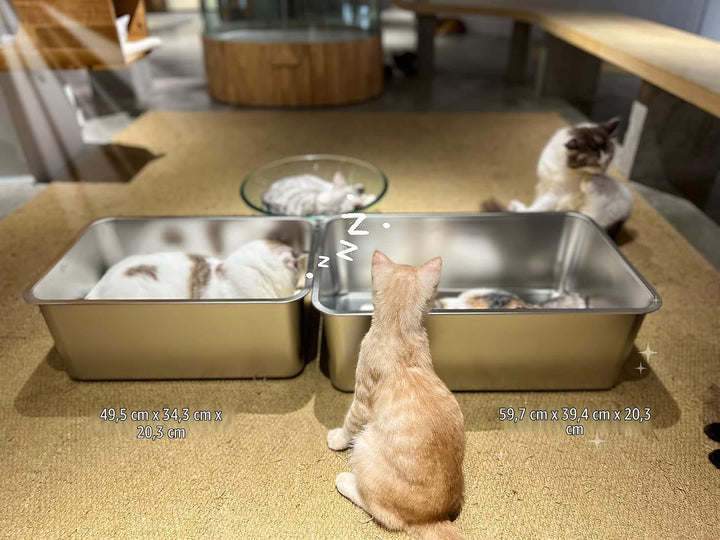 IKITCHEN Grosse Katzentoilette Edelstahl(60×40×20cm), Litter Box Katzenklo, Katzen und Kaninchen Met
