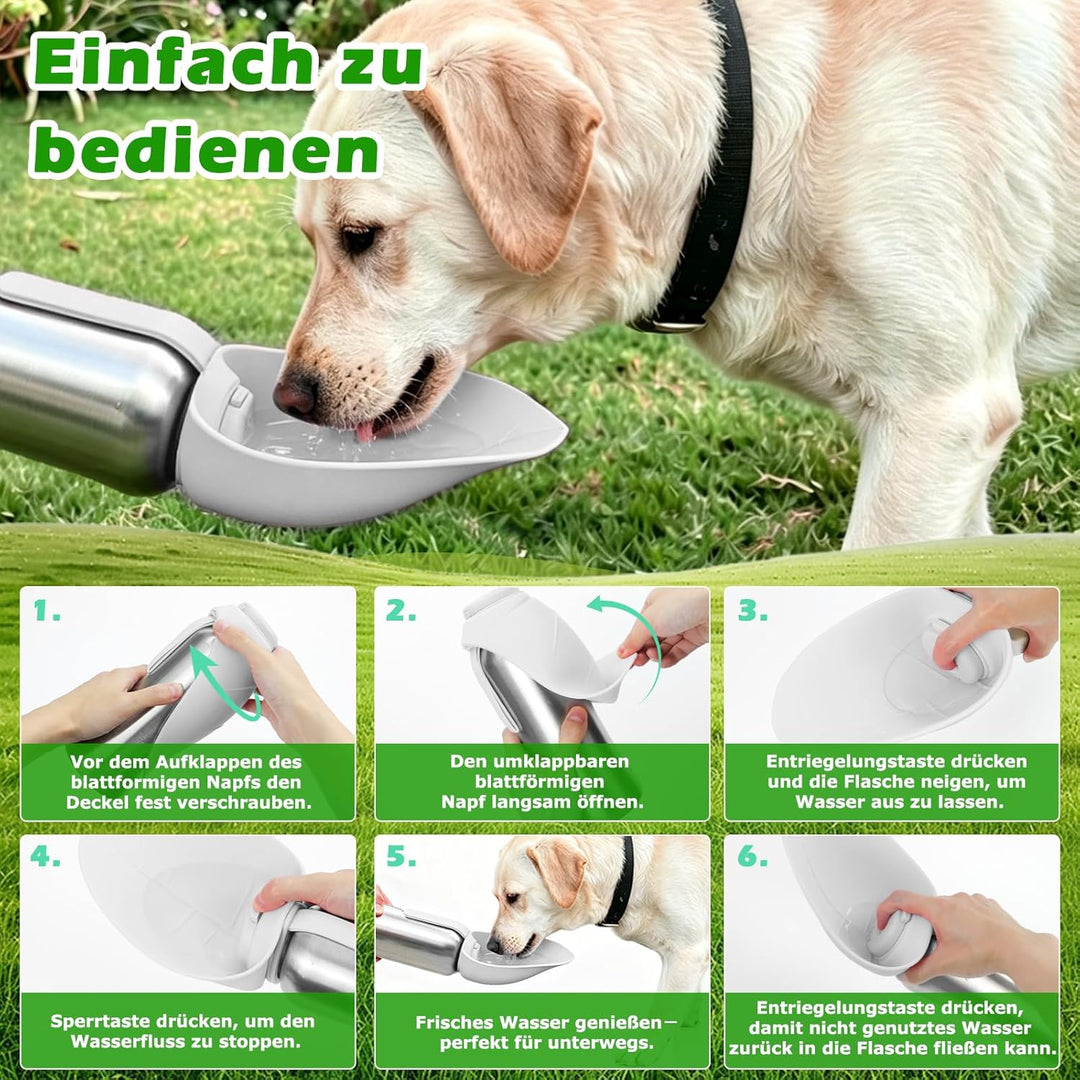 Nepfaivy Trinkflasche Hunde für Unterwegs Edelstahl 800ml - Auslaufsichere Hundetrinkflasche für Unt