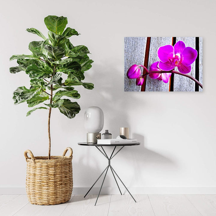 Feeby Wandbild Orchideen Druckbild Leinwandbild Blumen Violett 100x70 cm Leinwandbild 100x70 cm Viol