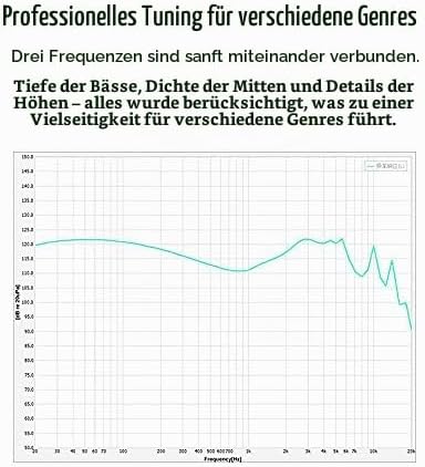 Yinyoo CCZ Melody Kabelgebundene Kopfhörer USB C Anschluss, leichte und Bequeme Ohrhörer mit 4N OFC-
