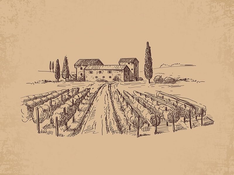 Smartbox Dakotabox Unisex-Adult 1158303