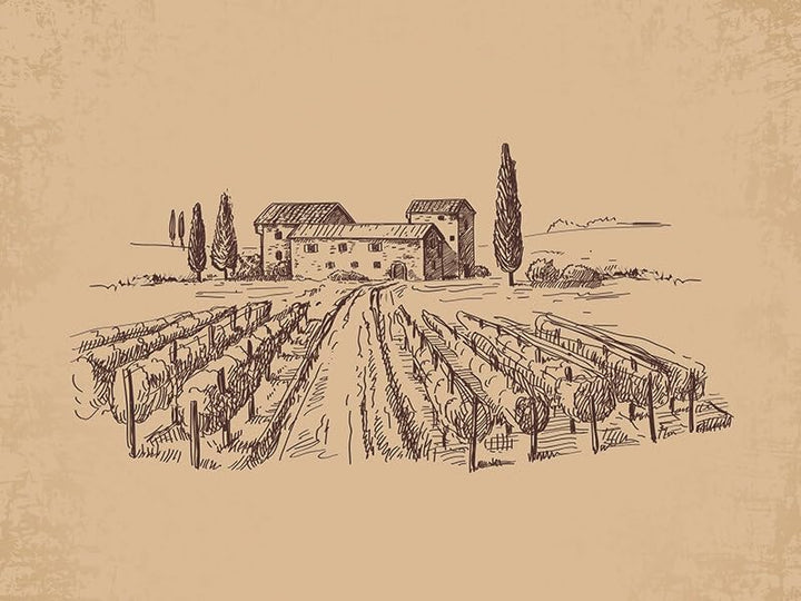 Smartbox Dakotabox Unisex-Adult 1158303