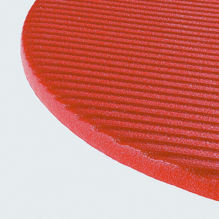 Airex Coronella Gymnastikmatte / Matte für Rehabilitation (rot)
