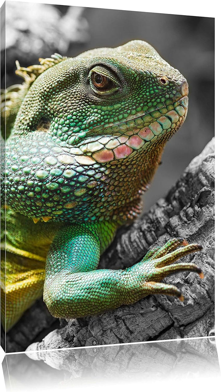 Pixxprint grosses Chamäleon schwarz/weiss auf Leinwand, XXL riesige Bilder fertig gerahmt mit Keilra
