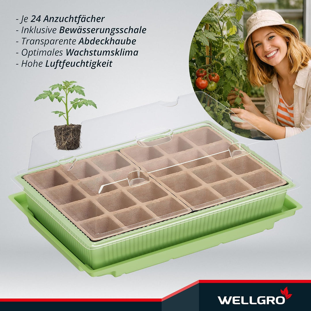 WELLGRO Mini Gewächshaus für 24 Pflanzen - ca. 27x19x10 cm (LxBxH) je Zimmergewächshaus, grün/transp