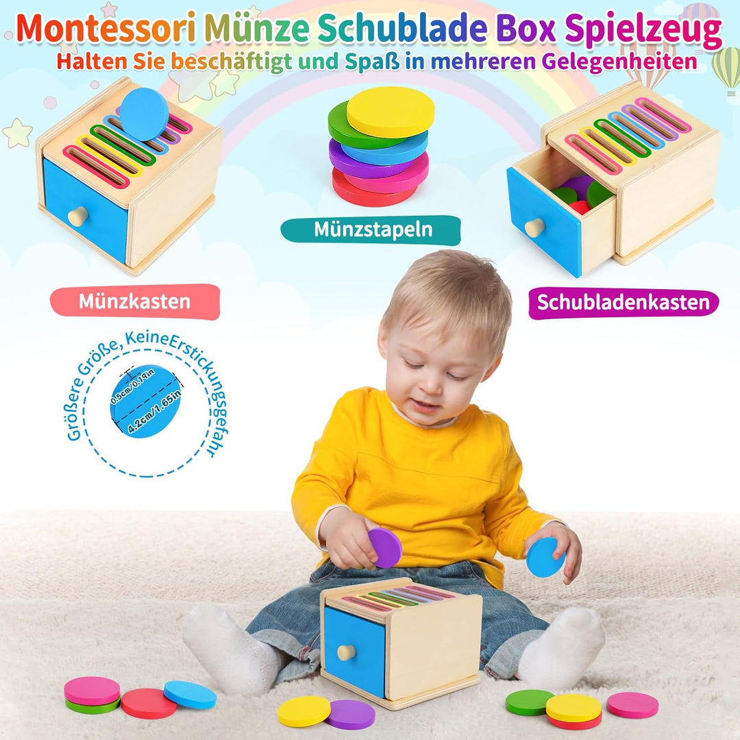 FCSONU Kinder Montessori Spielzeug ab 1 2 3 Jahre Jungen Mädchen, Holzspielzeug ab 1 Jahr, Farbe Sor