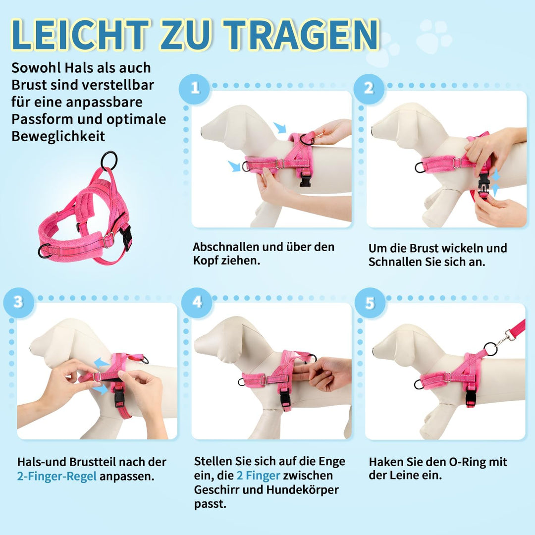 Hundegeschirr mit Leine für mittelgrosse Kleine Hunde, Weich gepolsterter No-Pull Brustgeschirr mit