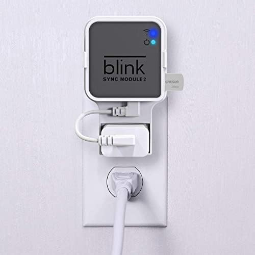 256 GB Blink USB-Speicherstick für lokale Video-Speicher mit dem Blink Sync Modul 2 Halterung (Blink
