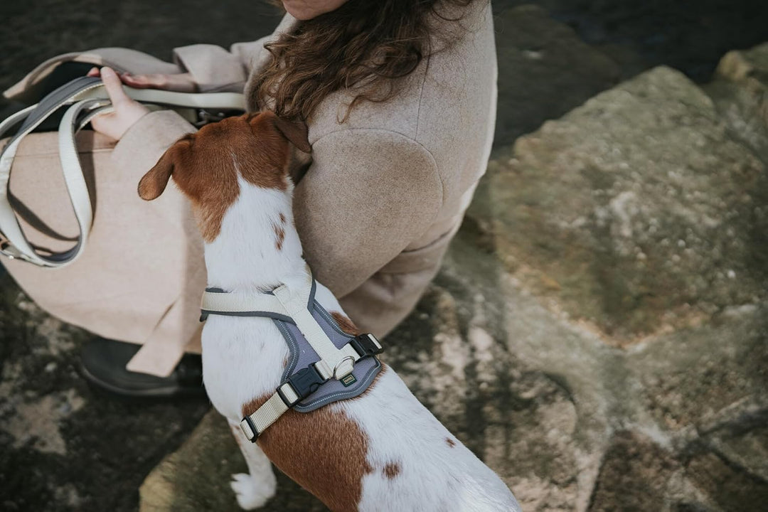 Hunter Hundegeschirr NEOPREN, Farbe: Matcha/grau, strapazierfähiges Nylon, mit weichem Neopren gepol