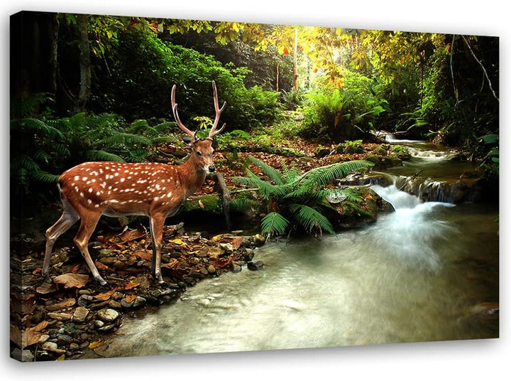 Bilder Hirsch Wald Landschaft XXL 90x60 cm 1Teilig Wohnzimmer Schlafzimmer Modern Wandbilder Vlies L