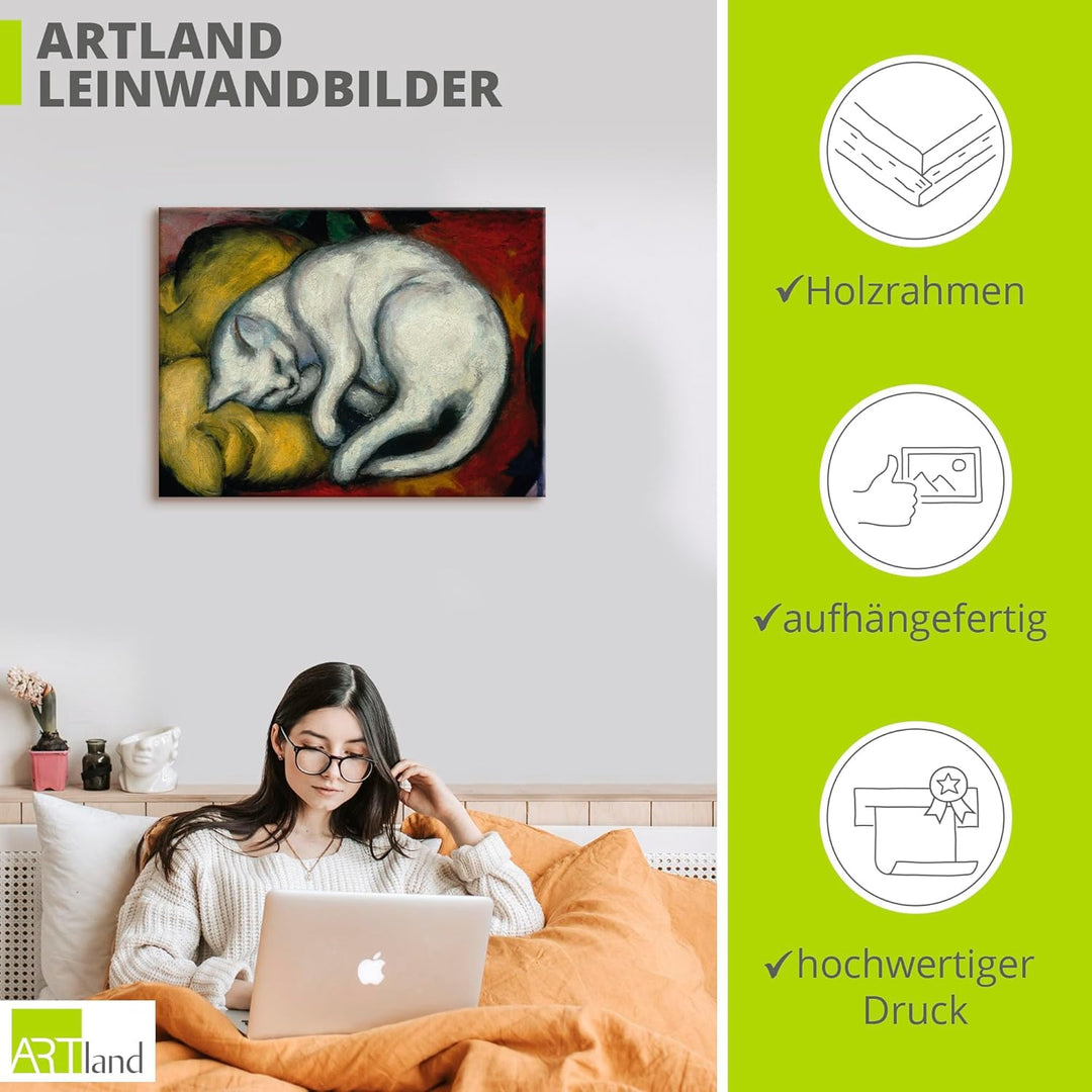 ARTland Leinwandbild Wandbild Bild auf Leinwand 60x45 cm Wanddeko Haustier Katzenbett Die weisse Kat