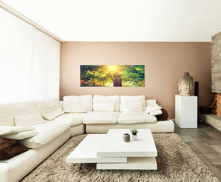 Paul Sinus Art Panoramabild auf Leinwand und Keilrahmen 150x50cm Park Bäume Herbst Blätter Sonnenlic