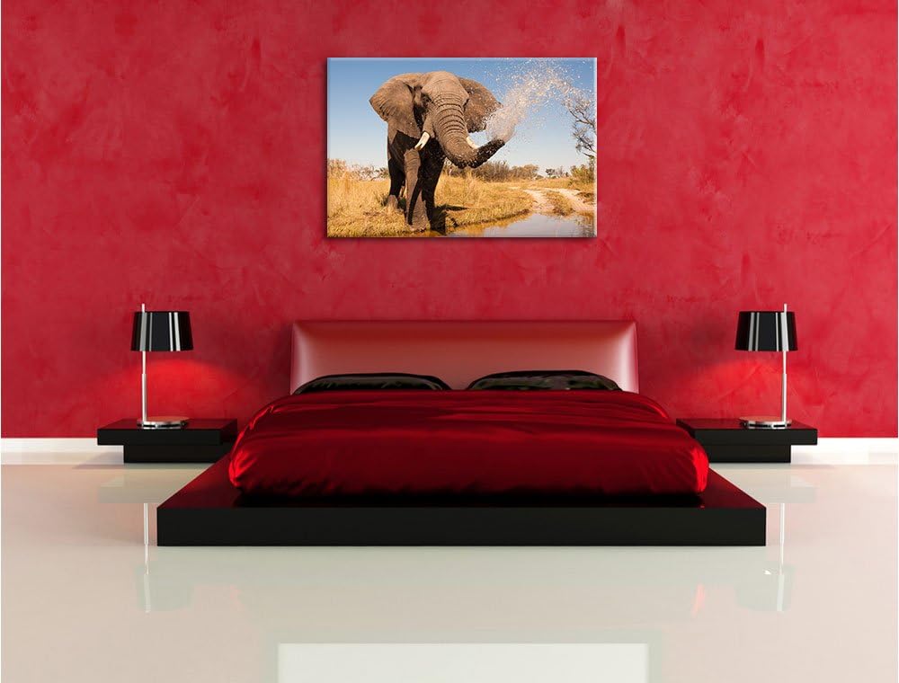 Pixxprint schöner Elefant spritzt mit Wasser als Leinwandbild/Grösse: 120x80 cm/Wandbild/Kunstdruck/