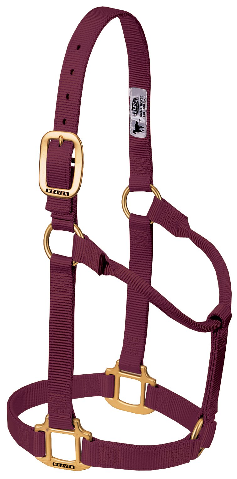 WEAVER Leather, Nicht verstellbares Halfter burgunderfarben Average Horse, burgunderfarben Average H