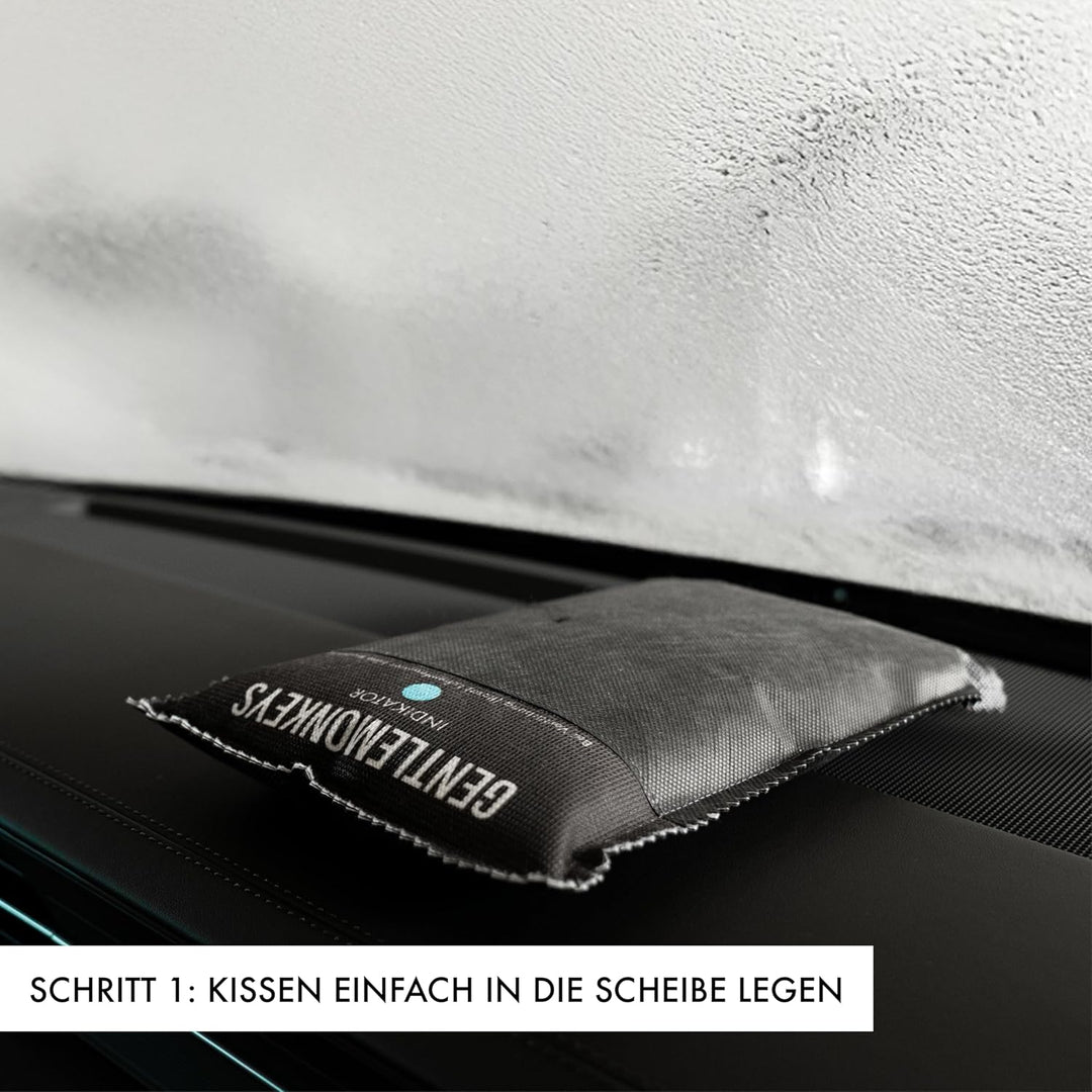 GENTLEMONKEYS Luftentfeuchter Kissen (1kg) - Mit Farbindikator | Entfeuchtet Auto, Wohnmobil, Garage